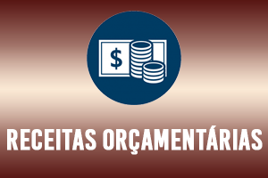 3-receita orcamentaria.png