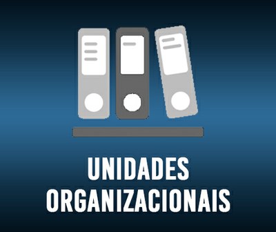 10_unidadesorganizacionais.jpg