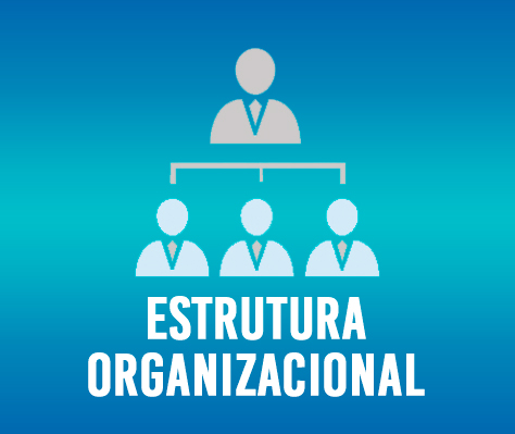 1_estrutura_organizacional.jpg