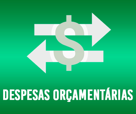 2_despesa_orcamentaria.jpg