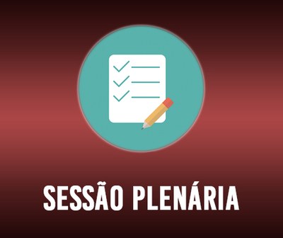 5_sessao_plenaria.jpg